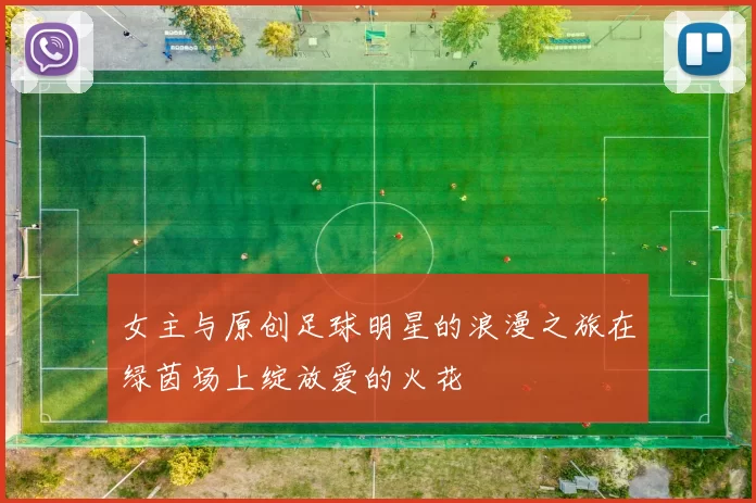 女主与原创足球明星的浪漫之旅在绿茵场上绽放爱的火花