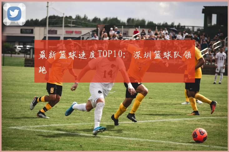 最新篮球速度TOP10：深圳篮球队领跑