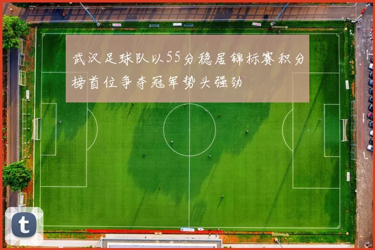 武汉足球队以55分稳居锦标赛积分榜首位争夺冠军势头强劲