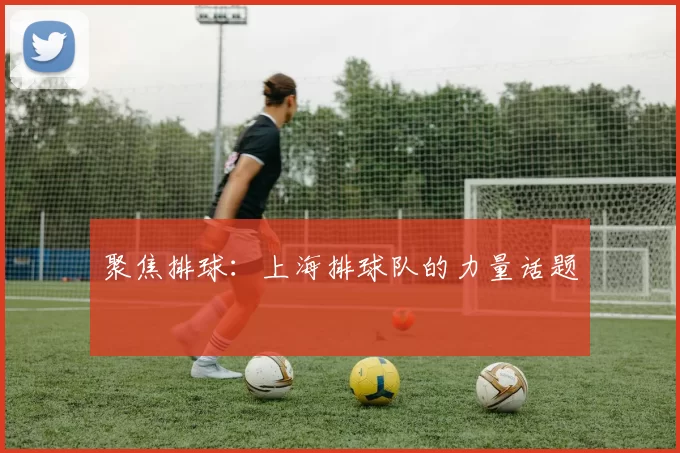 聚焦排球：上海排球队的力量话题