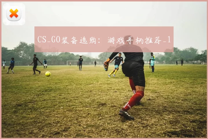 CS_GO装备选购：游戏手柄推荐_1